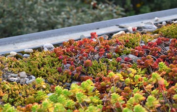 the cost of Chapel Milton green roof installation