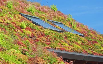 Chapel Milton living roof systems